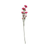 Tige d’Œillet Artificiel Rose Foncé – Longue Tige