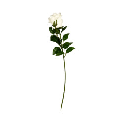 Rose Beige Artificielle