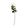 Rose Beige Artificielle