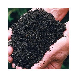 Terreau Taranaki Potting Mix – 40 L – Nouvelle-Zélande