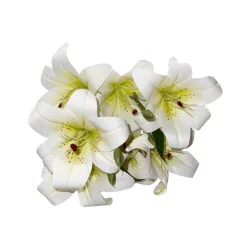 Bouquet de Lys Artificiels Blancs à Cœur Vert