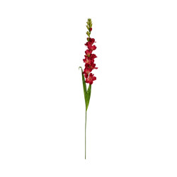 Glaïeul Artificiel Rouge