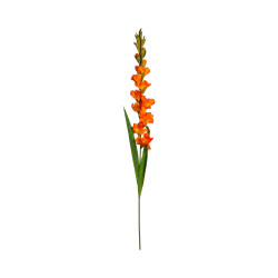 Glaïeul Artificiel Orange Foncé