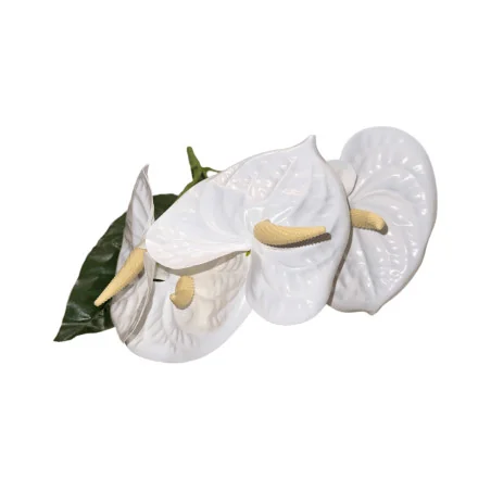 Bouquet d’anthuriums Blanc