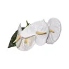 Bouquet d’anthuriums Blanc