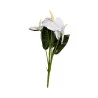 Bouquet d’anthuriums Blanc