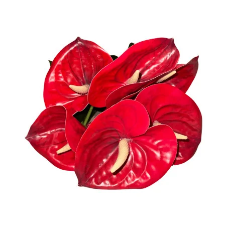 Bouquet d’anthuriums Rouge