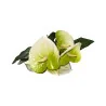 Bouquet d’anthuriums Vert Clair
