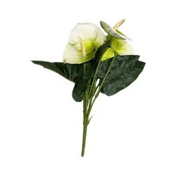 Bouquet d’anthuriums Vert Clair