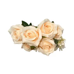 Bouquet de roses Beige rosé 