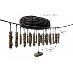 Station de Collectage pour Nacres – Corde 14mm avec Collecteurs 80cm