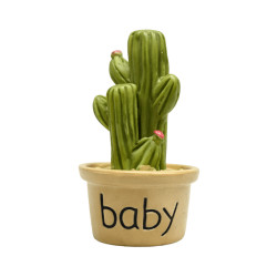 Mini Cactus en Pot “Baby”
