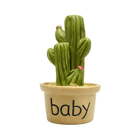 Mini Cactus en Pot “Baby”