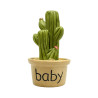 Mini Cactus en Pot “Baby”