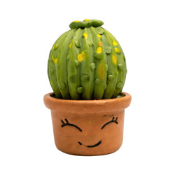 Mini Cactus Sourire en Pot