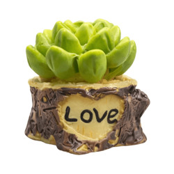 Mini Plante Succulente “Love”