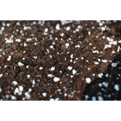 PERLITE PREMIUM 10L