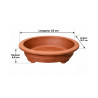 Pot bonsaï ovale – 23 cm