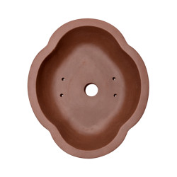 Pot Bonsaï Fleur en Terre Cuite 15,5cm