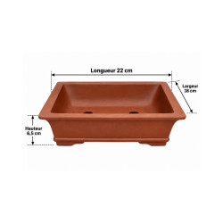 Pot bonsaï rectangulaire en terre cuite – 22 × 18 cm