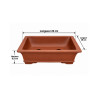 Pot bonsaï rectangulaire en terre cuite – 22 × 18 cm