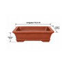 Pot bonsaï rectangulaire en terre cuite – 15,2 × 12,4 cm