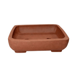 Pot Bonsaï Rectangle en Terre Cuite 20cm