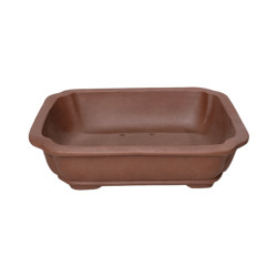 Pot Bonsaï Rectangle en Terre Cuite 15,2cm
