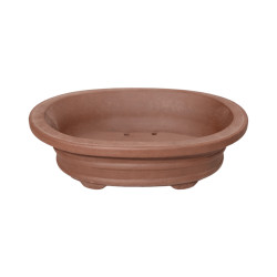 Pot Bonsaï Ovale en Terre Cuite 19,5cm