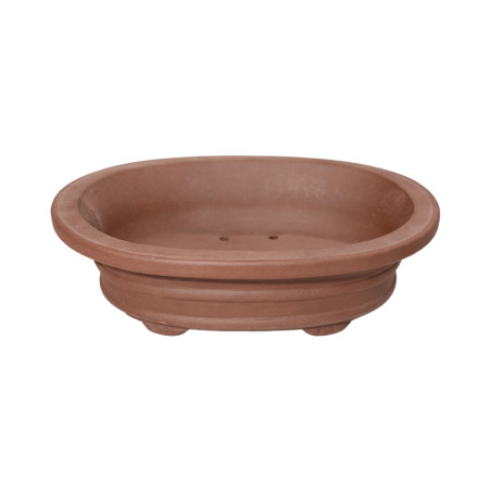 Pot Bonsaï Ovale en Terre Cuite 19,5cm