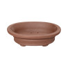 Pot Bonsaï Ovale en Terre Cuite 19,5cm
