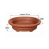 Pot bonsaï ovale en terre cuite – 19,5 × 16 cm