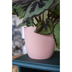 Cache-pot plastique rose texturé 1,3L