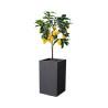 Pot carré haut Gris anthracite 36L