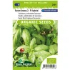 SL2009 BASILIC SWEET AROMA BIO
