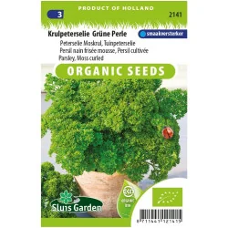 SL2141 PERSIL NAIN FRISE BIO