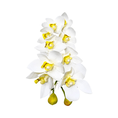 Cymbidium artificiel blanc cœur jaune 10 fleurs
