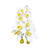 Cymbidium artificiel blanc cœur jaune 10 fleurs