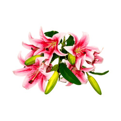 Bouquet lys artificiel rose 7 fleurs