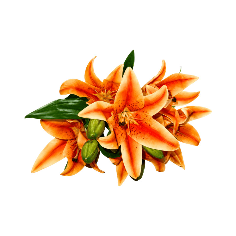 Bouquet lys artificiel orange 7 fleurs