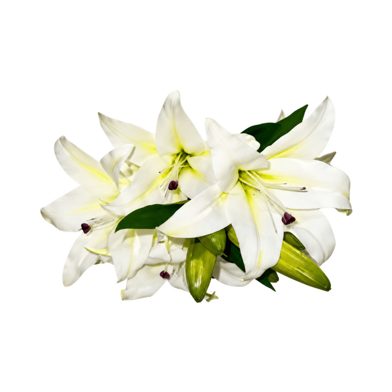 Bouquet lys artificiel blanc 7 fleurs