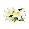 Bouquet lys artificiel blanc 7 fleurs