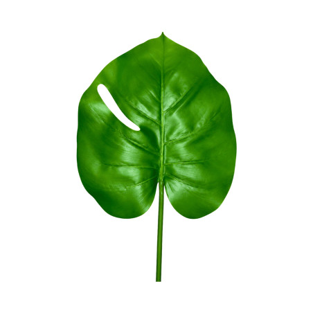 Feuille artificielle d’ape
