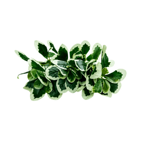 Feuillage Ficus panaché en branche artificiel