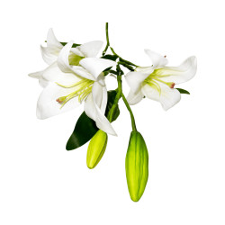 Tige lys blanc artificiel 3 fleurs
