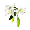 Tige lys blanc artificiel 3 fleurs
