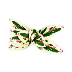 Feuillage ape panaché blanc rouge