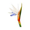 Oiseau paradis hawaïen blanc artificiel