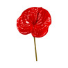 Tige anthurium rouge artificiel
