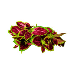 W004 - Feuillage Branche Rouge & Vert Artificiel